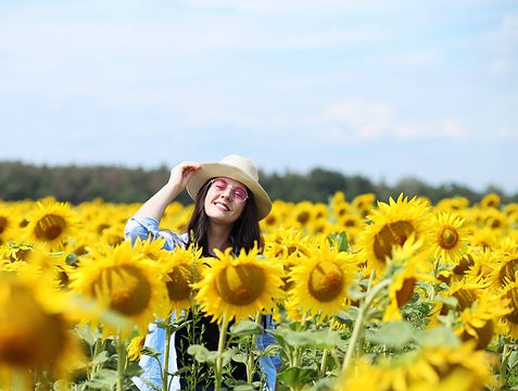 woman in sunflowers field 2022 11 15 10 05 06 utc scaled