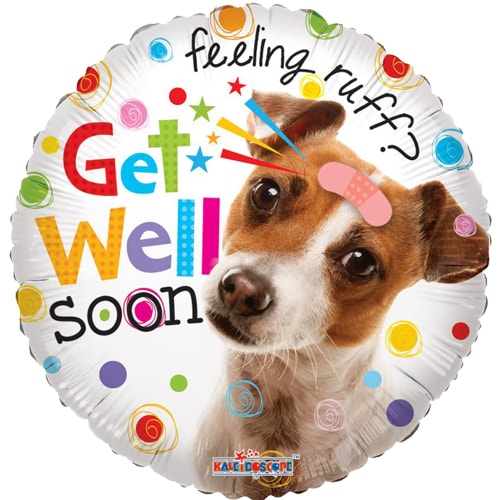 Get well Doggy