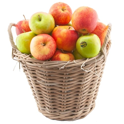 Fruitmand vol met plukfruit (appels)