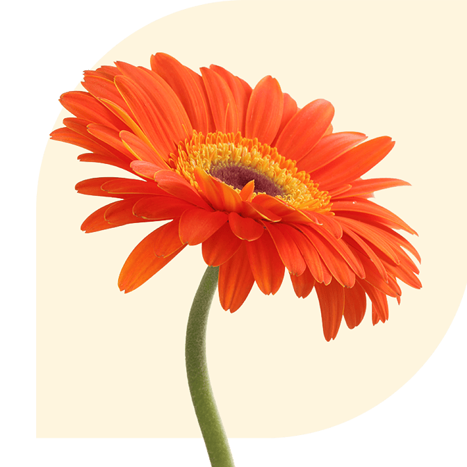 Bloemen bezorgen Veenhuizen