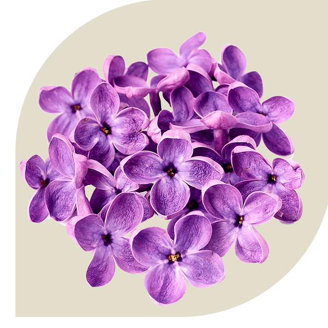 Bloemen Bezorgen Papenveer