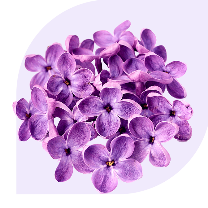 Bloemen bezorgen Beekbergen